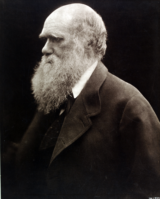 Charles Darwin, Julia Margaret Cameron, 1868, printed 1875   Artist:   Date:   Credit line: (c) Victoria and Albert Museum, London